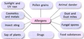 08._Allergy_img_2