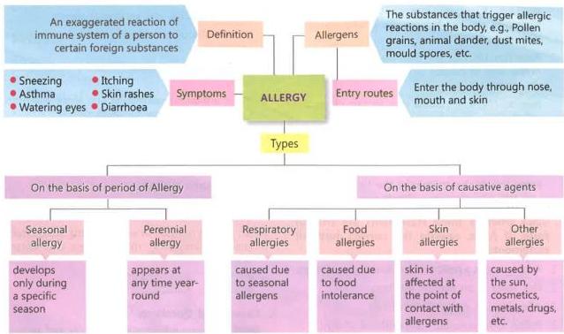08._Allergy_img_3