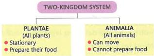 02._Kingdom_Classification_img_5