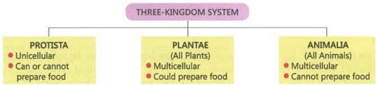 02._Kingdom_Classification_img_6