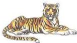 03._Kingdom_Animalia_img_4