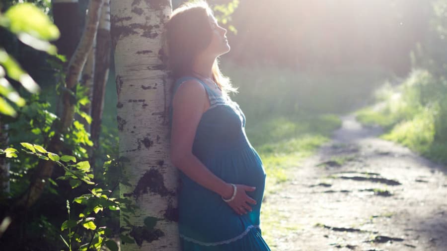 Pregnant woman standing in the sun, leaning against a tree