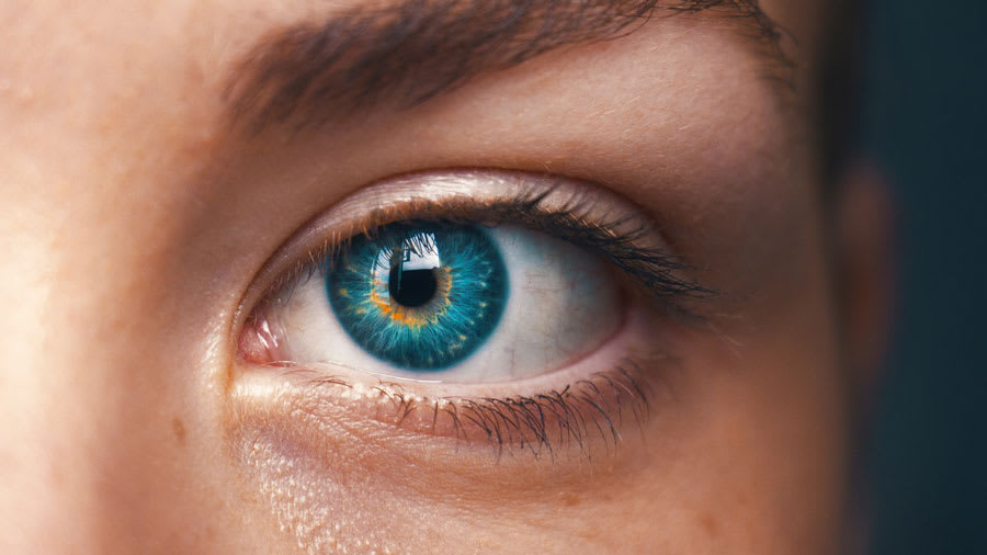 Blue eye and eyelashes closeup