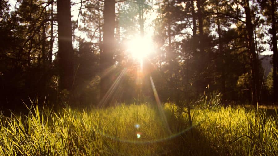 Light Based Therapies for Psoriasis