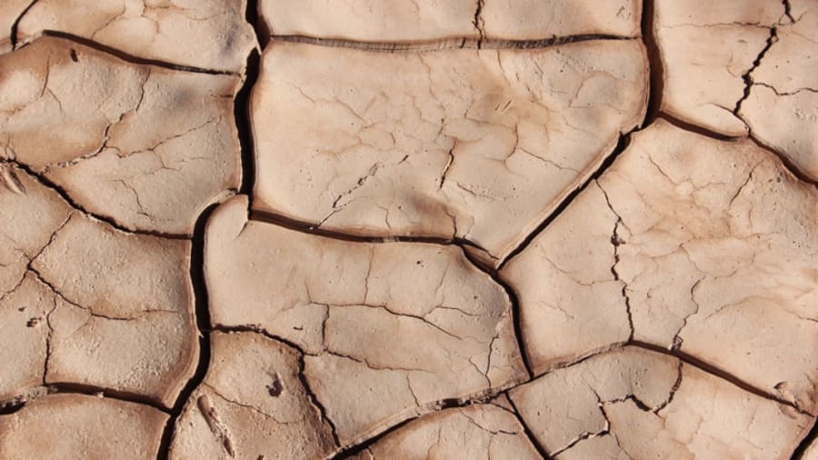 Dry and cracked dirt