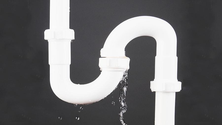 "Leaky Gut" and Its Relation to Skin Health