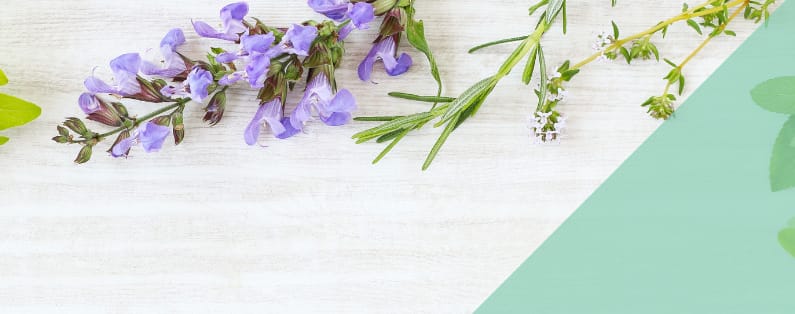 Building Herbs and Supplements into an Acne Regimen Webinar