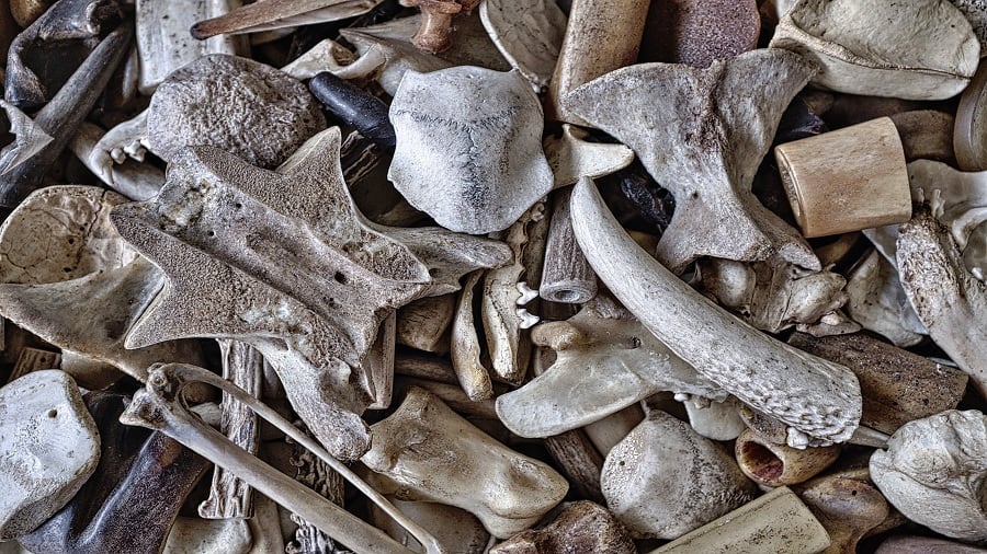 Supplements for Nail and Bone Health