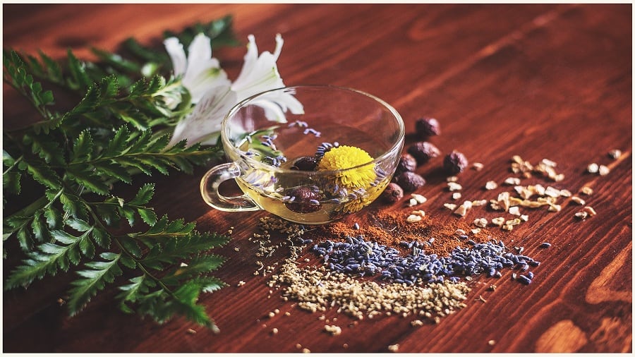 Herbs and Supplements