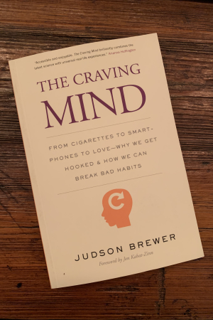 book cover of The Craving Mind: From Cigarettes to Smartphones to Love—Why We Get Hooked and How We Can Break Bad Habits