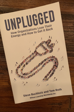 book cover of Unplugged: How Organizations Lose Their Energy and How to Get It Back