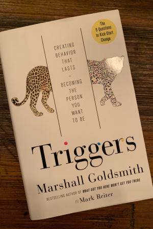 book cover of Triggers: Creating Behavior That Lasts—Becoming the Person You Want To BE