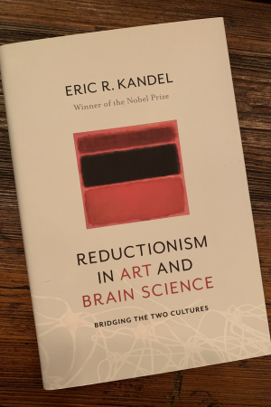 book cover of Reductionism in Art and Brain Science: Bridging the Two Cultures