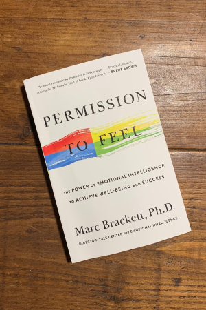 book cover of Permission to Feel: Unlocking the Power of Emotions to Help Our Kids, Ourselves, and Our Society Thrive