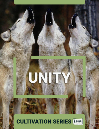 program cover