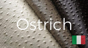 Ostrich Leather