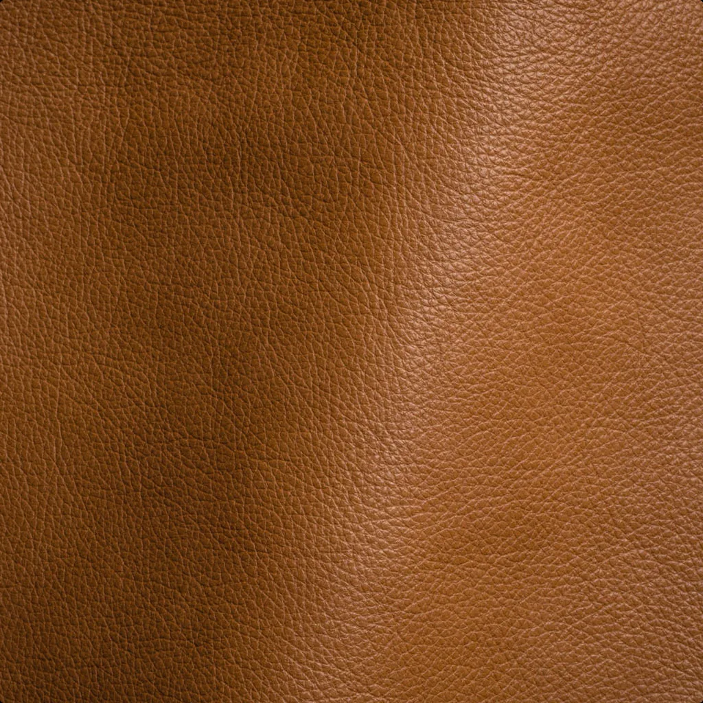 Leather Restoration recommended for Semi Aniline Leather