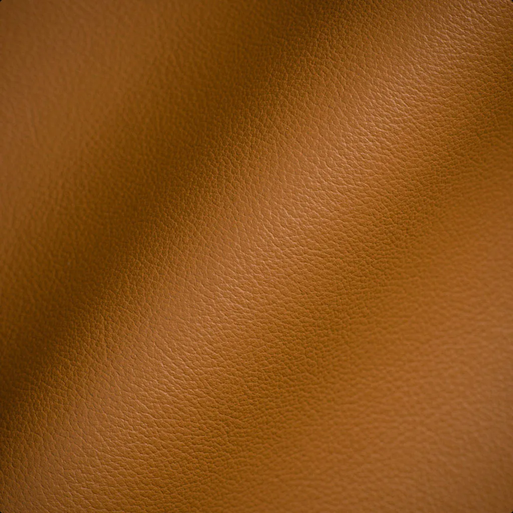 Leather Restoration recommended for Protected Leather