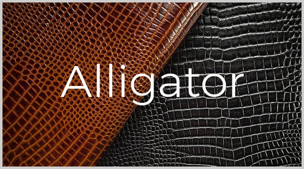 Alligator Leather Collection