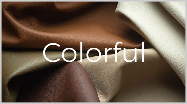 Colorful Leather Collection