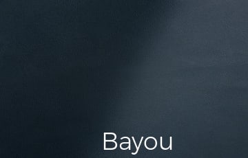 Aniline Leather Bayou Color