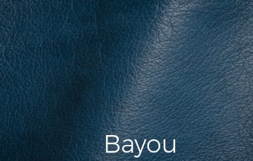 Antique Leather Bayou Color