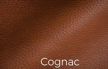 Vibrant Leather Cognac Color