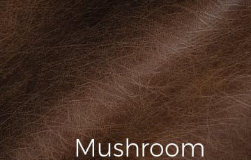 Restoration Leather Mushroom Color