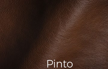 Antique Leather Pinto Color