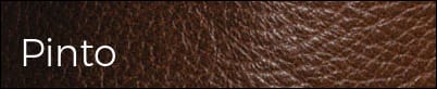 Pinto antique leather swatch with dark brown two-tone grain