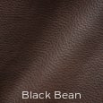 Vibrant Leather Black Bean Color