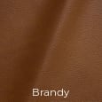Vibrant Leather Brandy Color