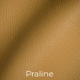 Designer Leather Praline Color