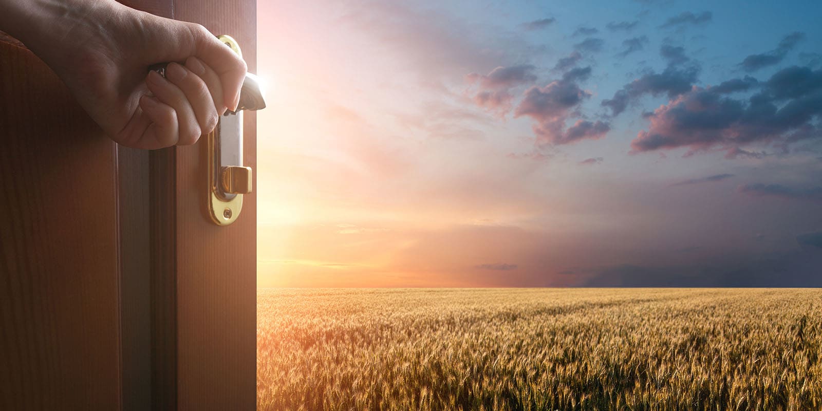 Ein Bild, passend zum Thema des Blogs