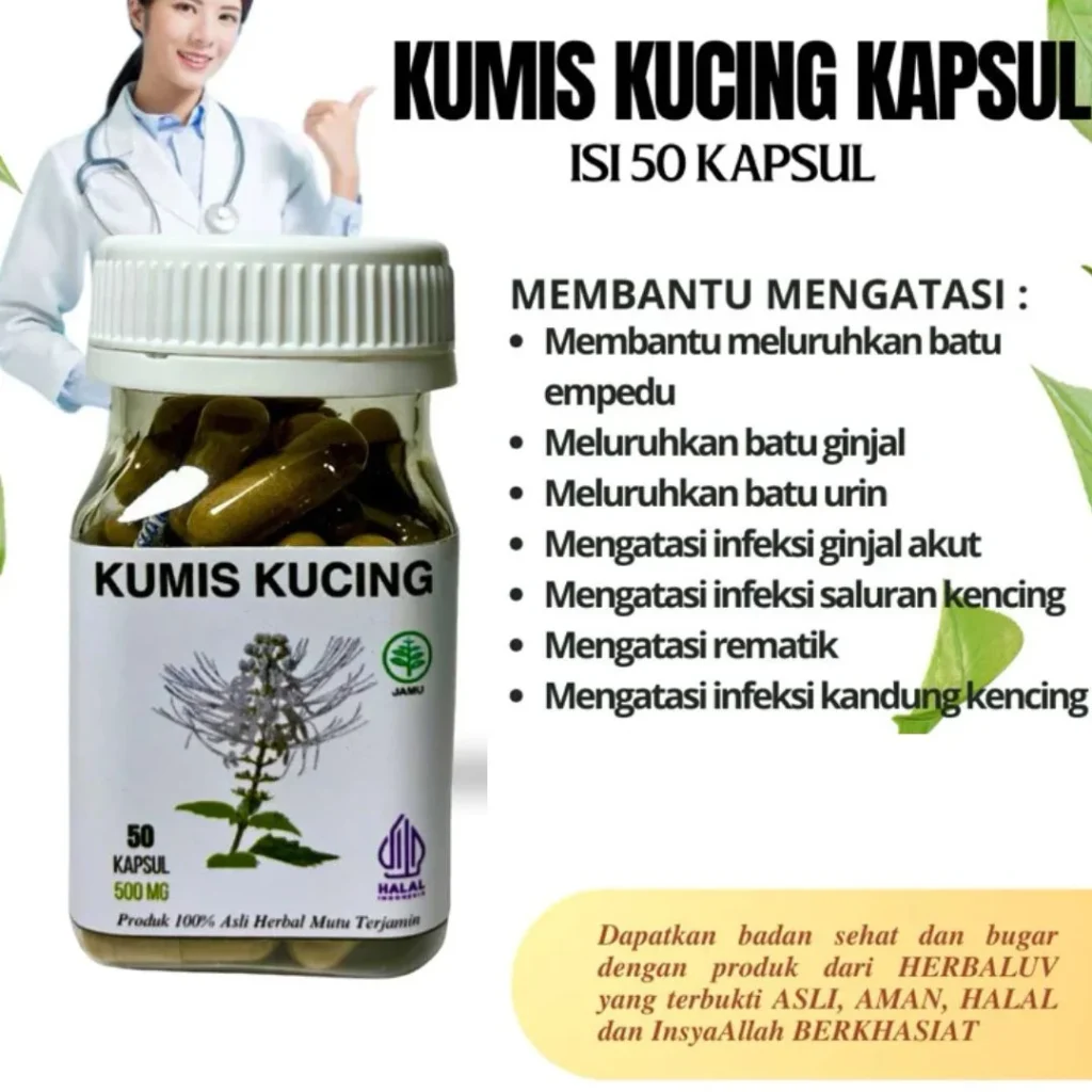 Manfaat Kumis Kucing Kapsul