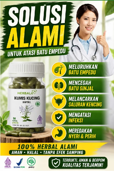Kumis Kucing Kapsul - Solusi Alami