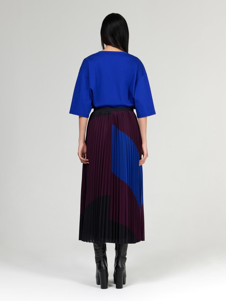 Colour-Block-Pleated-Skirt---Shorter-Length