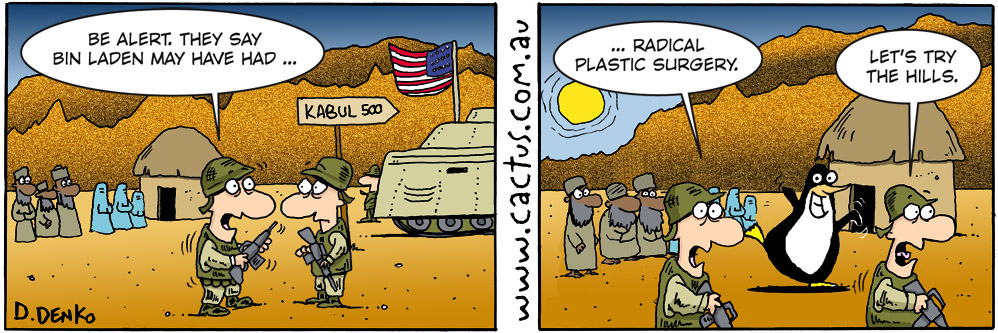 Cactus Island