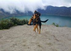 La llegada de Machu