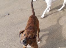 Leetchicom Group Gifting Personal Fundraising Website