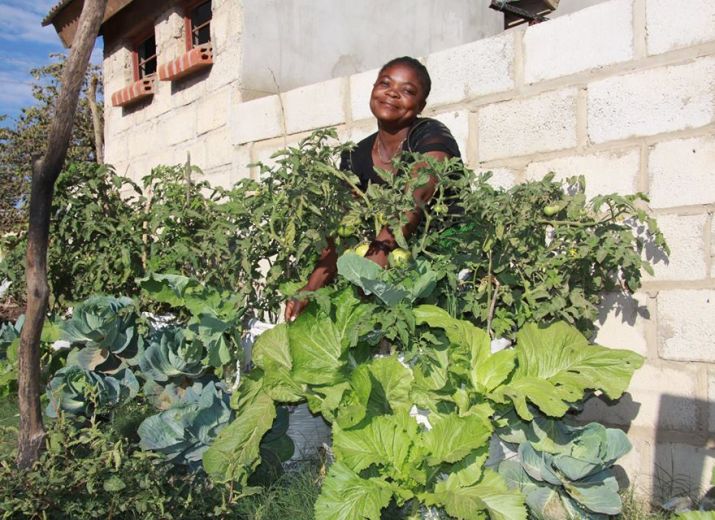 Des sacs potagers pour la Zambie / Sack gardens for Zambia