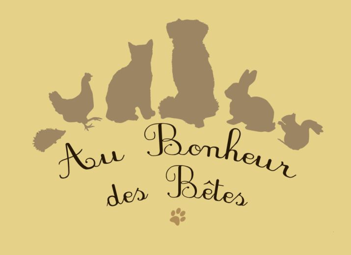 Pour les chats
