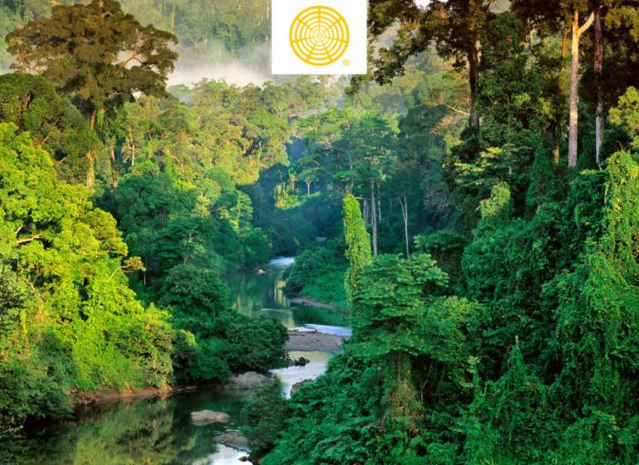Plant a Tree - Fund for the Future