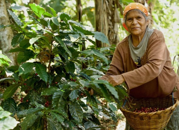 Supporting the economic autonomy of the indigenous Matagalpan women in Nicaragua