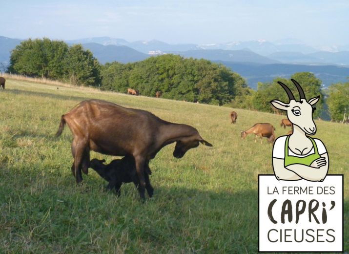 La Ferme des Capri'cieuses