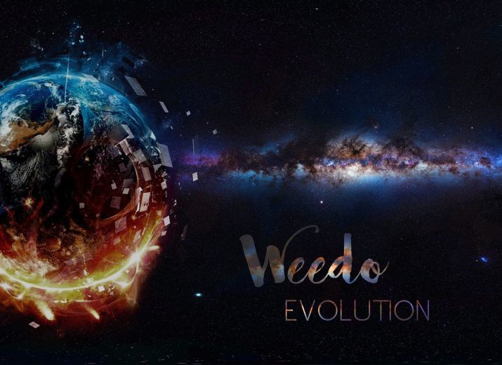 Commande l'EP "Evolution" de Weedo