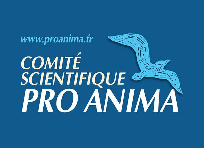 Finançons les actions en justice pour faire fermer le centre des 1600 singes de Niederhausbergen