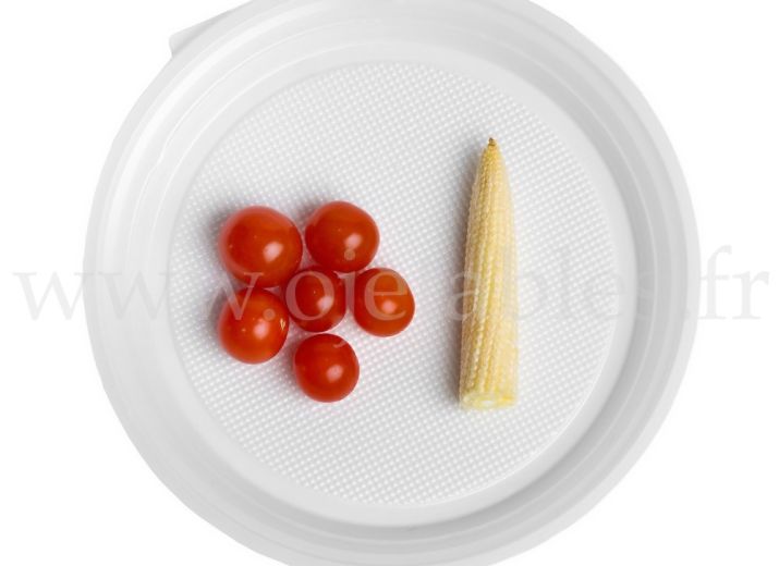 ASSIETTES, VERRES ET CUILLERES JETABLES