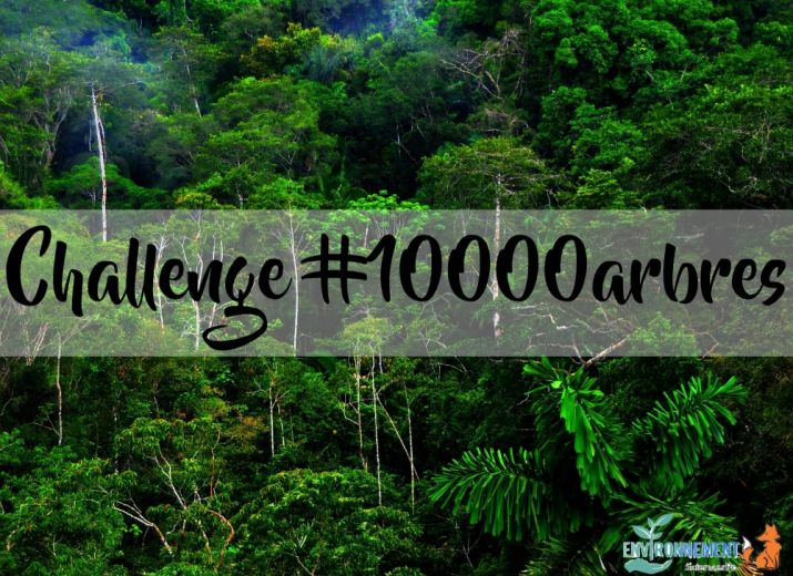 Challenge 10 000 arbres