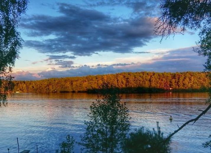 Waldumwandlung - 6 Hektar zusätzlichen Wald schaffen / Natur-Erholungsort kämpft um den Fortbestand
